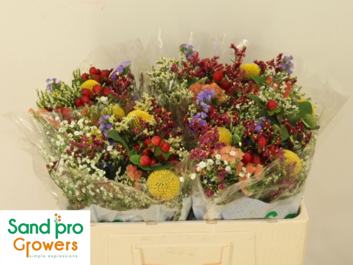 <h4>GEM ZOMERBOEKET</h4>