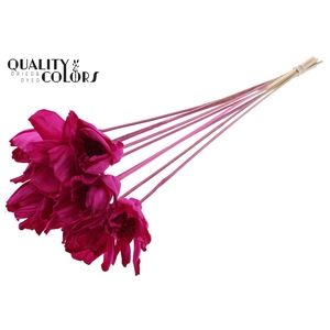 Shola Dear Holly 6cm on stem Lilac