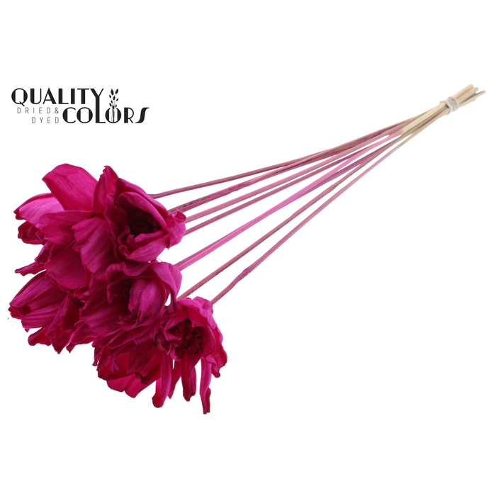 <h4>Shola Dear Holly 6cm on stem Lilac</h4>
