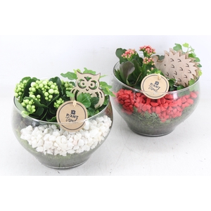 arr2 PL - Glas schaal frank - rood/wit