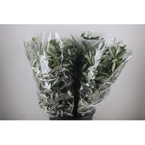 Olijf 200gr P Bunch