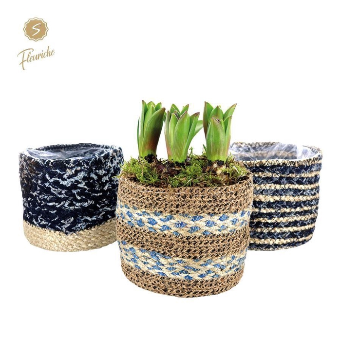 <h4>(5701) Hyacint Blue Jeans [L] 5PP Mos</h4>