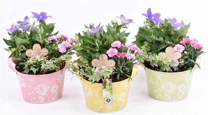 <h4>Zink teil bloemdecor kl.mix 18cm</h4>