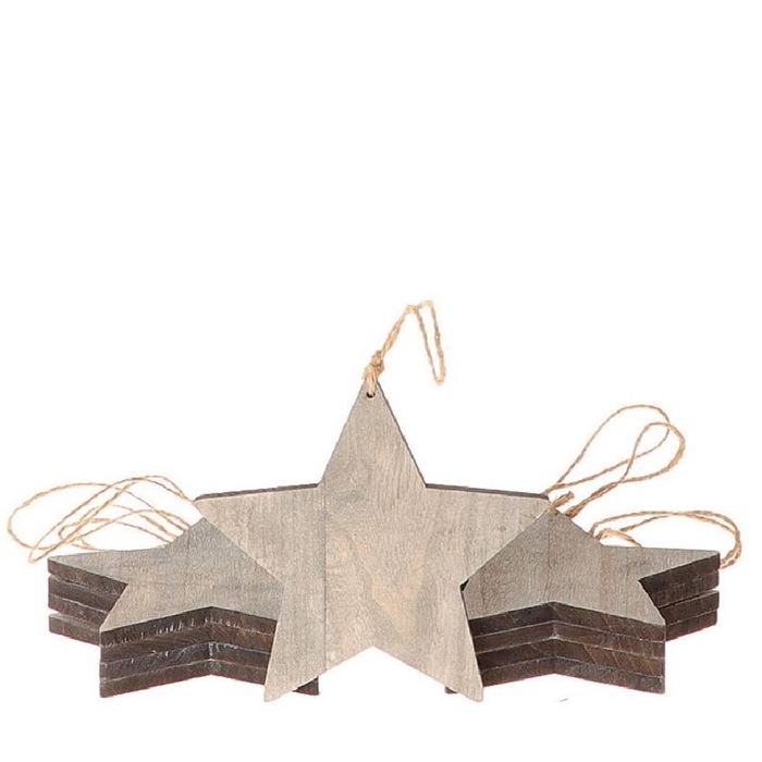 <h4>Christmas Deco hanging star 15cm x10</h4>