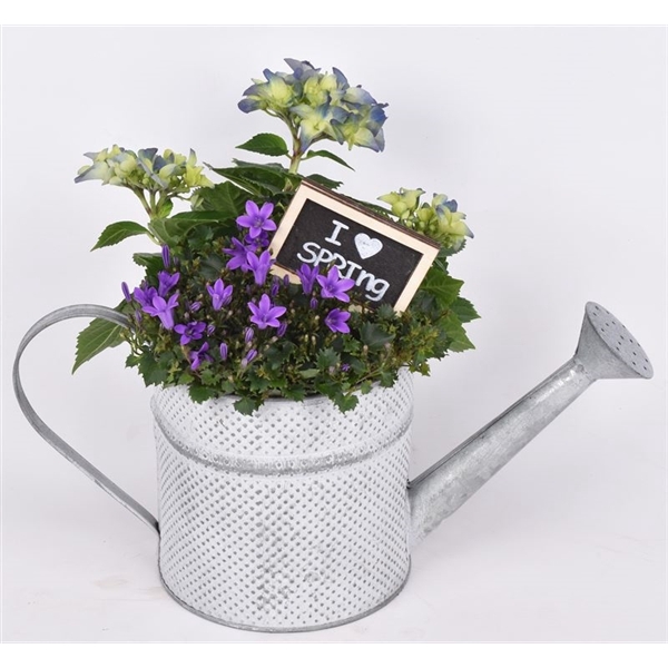 <h4>Zink gieter dia14cm</h4>