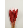 Dried Pinion Grass Red Bunch