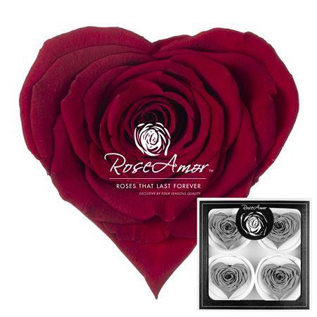 <h4>Corazon Bella Red01</h4>