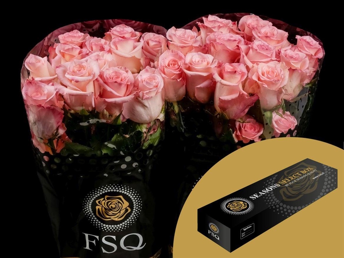 <h4>R GR Rhoslyn Box</h4>