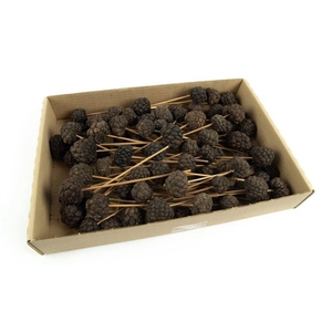 Ata fruit klein o/st. naturel