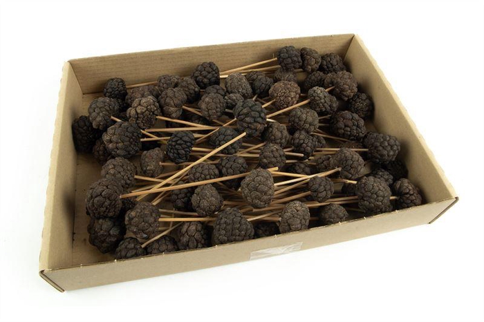 <h4>Ata fruit klein o/st. naturel</h4>