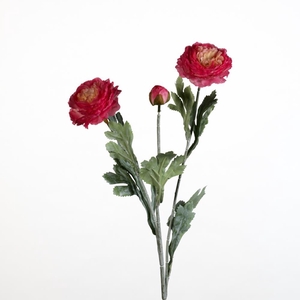 AF Ranunculus spr L52cm fu