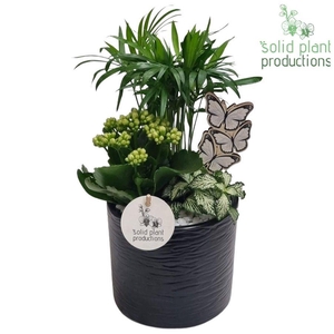 Opm Sp CH001 Amy Black