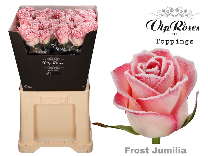 R GR FROST JUMILIA