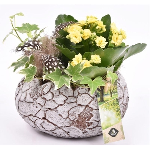 Cement ovaal ei 17xx11cm