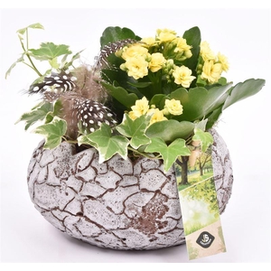 Cement ovaal ei 17xx11cm