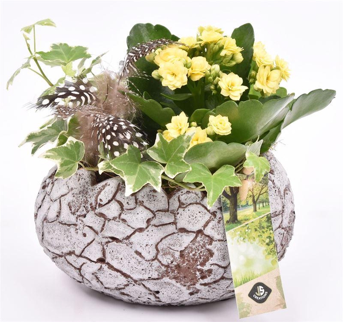 <h4>Cement ovaal ei 17xx11cm</h4>