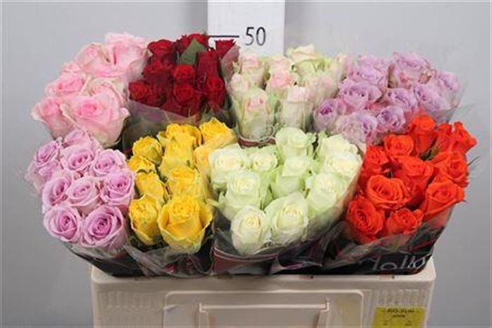 R Gr Gemengd In Fust B1