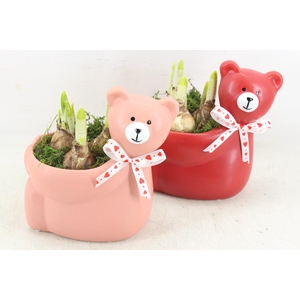 arr4 Narcis RN - Loving LuLu