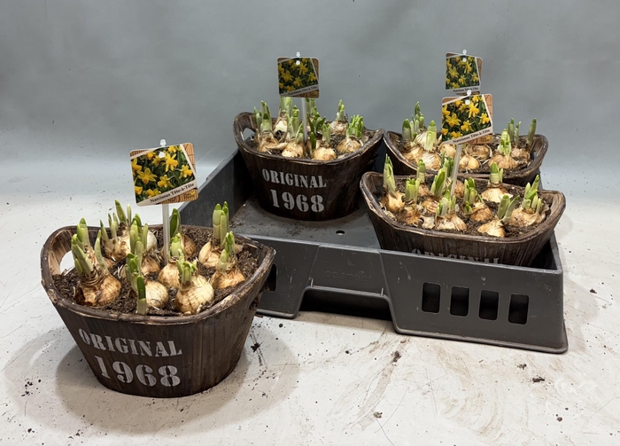 <h4>ARR N TETE A TETE</h4>