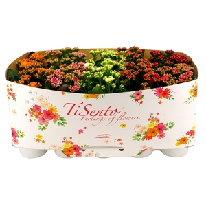 KAL GE GARDENLIN GEM