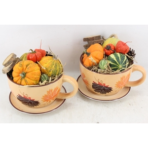 arr4 Sierfruit MB - Kop en schotel herfst