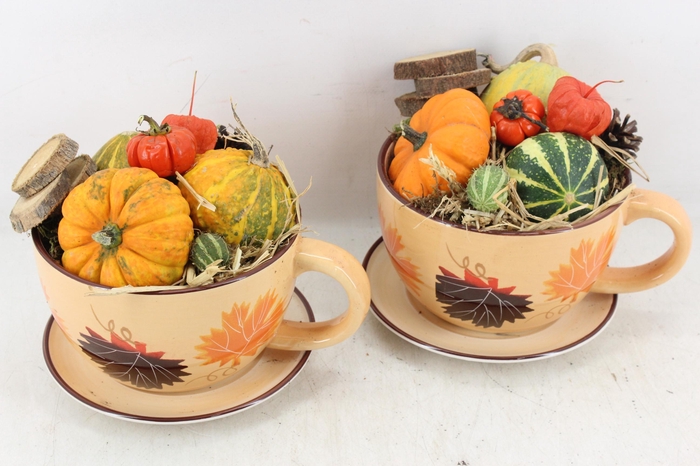 <h4>arr4 Sierfruit MB - Kop en schotel herfst</h4>