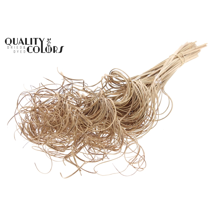 <h4>Palm Curly TT 3pc/tuft - 33 tuft/bunch Natural</h4>