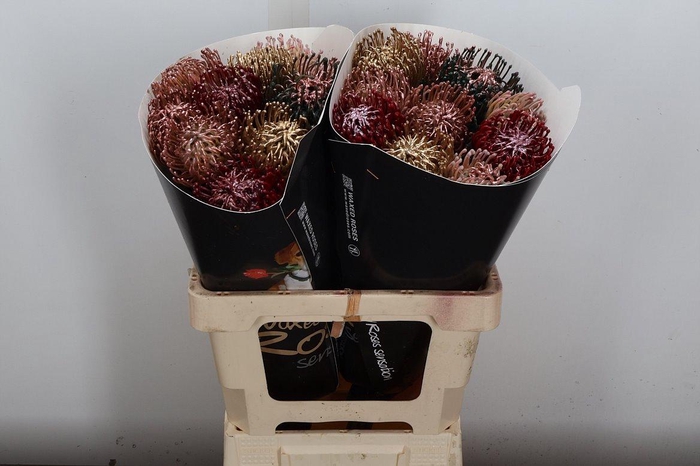 <h4>Nutan Wx Mix Copper</h4>