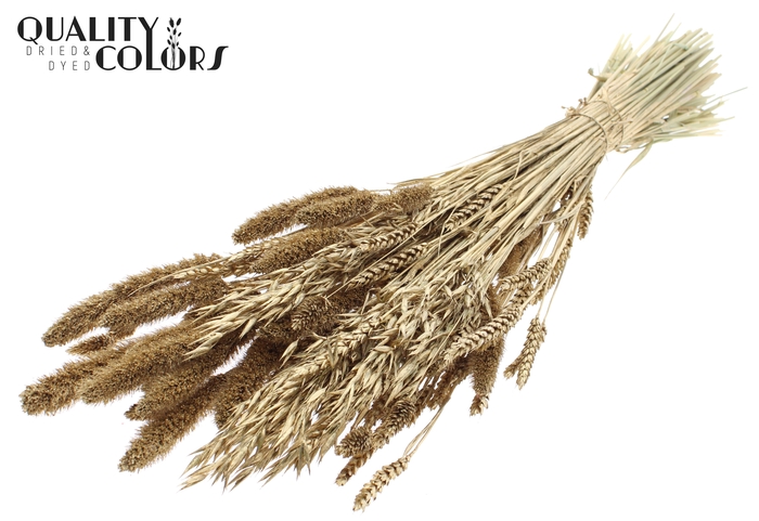 <h4>Dried Flower mix bunch Antique Gold</h4>
