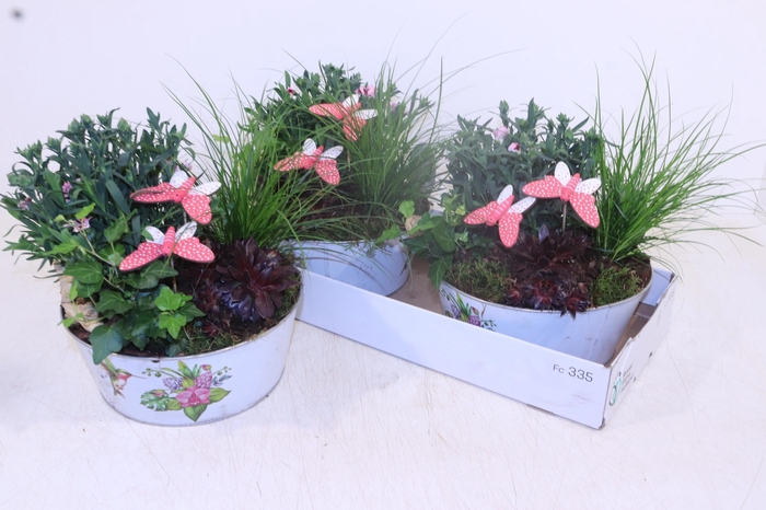 <h4>ARR TUINPLANTEN</h4>