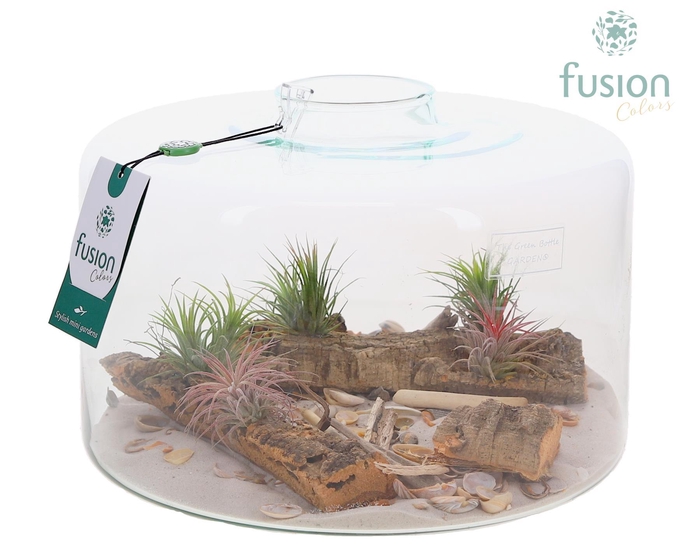 <h4>Green Bottle Kyra XLarge met Maritiem arrangement</h4>