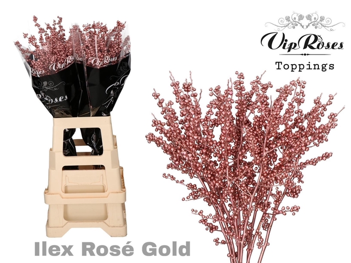 <h4>ILEX ROSÉ GOLD 70 cm</h4>