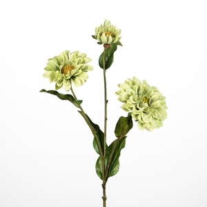 AF Zinnia x3 L72cm green