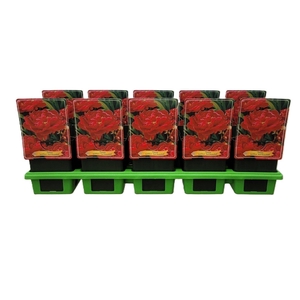 Paeonia lact. 'Karl Rosenf'