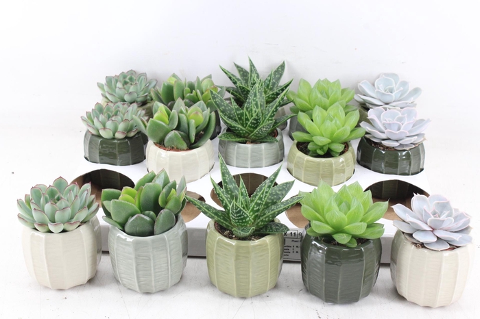 <h4>arr3 OV - Ker. Helsinki x15</h4>