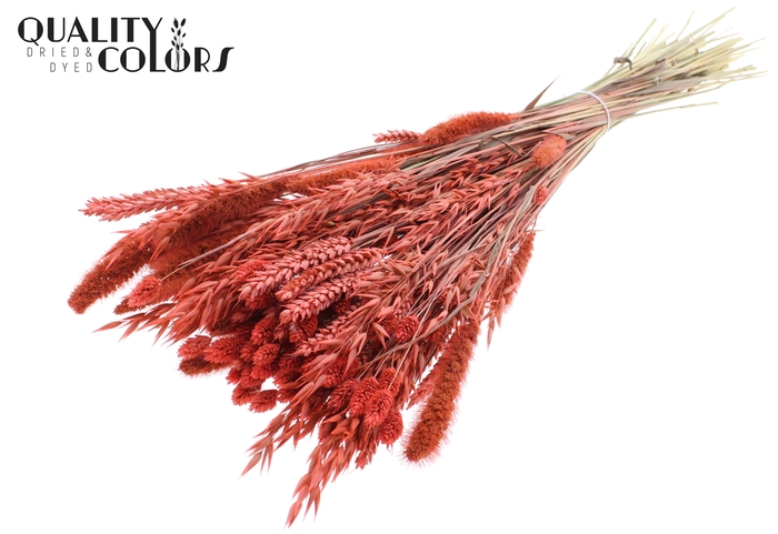 <h4>Dried Flower mix bunch Coral</h4>