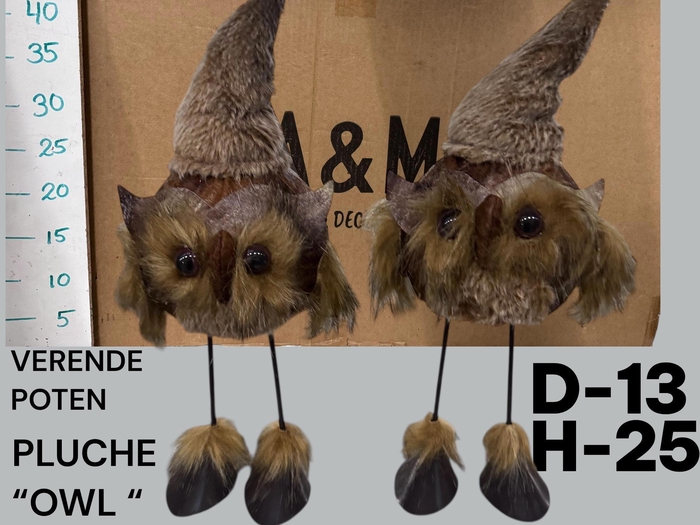 <h4>HUIS EN TUINDECO H%</h4>