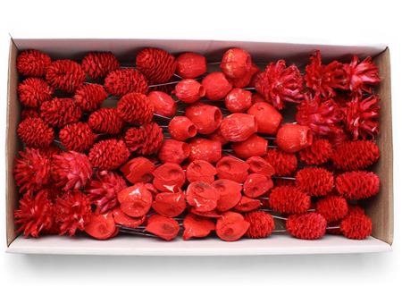 Lcd Assorti Pastel Red On 10cm Wire