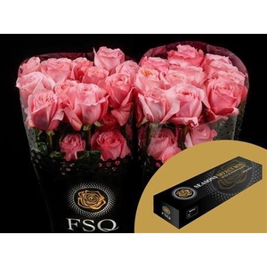 R Gr Pink X-pression Box