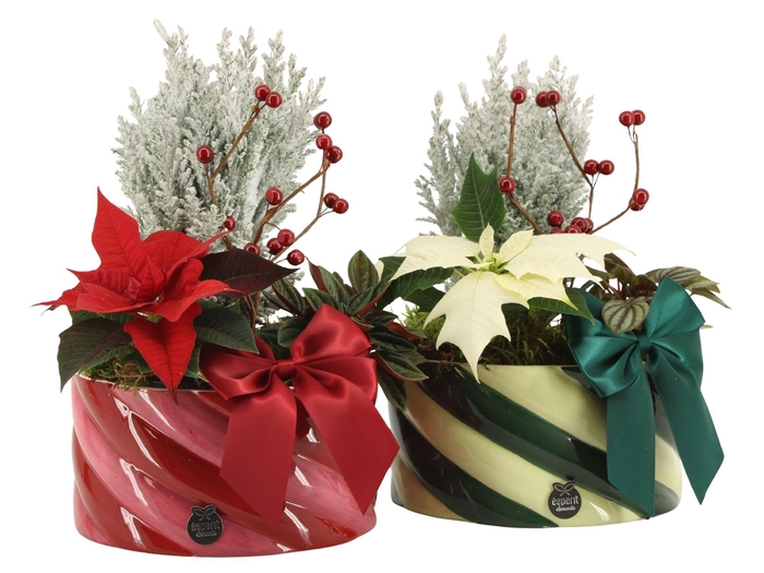 <h4>61778: X-mas arrangement</h4>