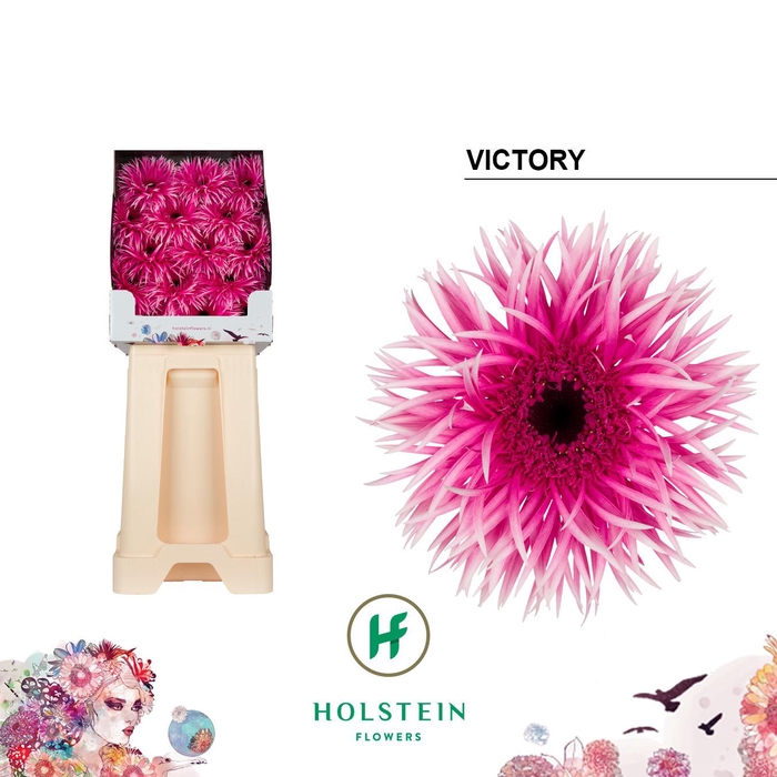 <h4>Ge Gs Gersp Victory</h4>