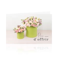 <h4>Plaisir d'offrir 1109210F</h4>