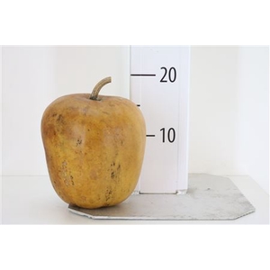 Jungle Apple Naturel (mg)