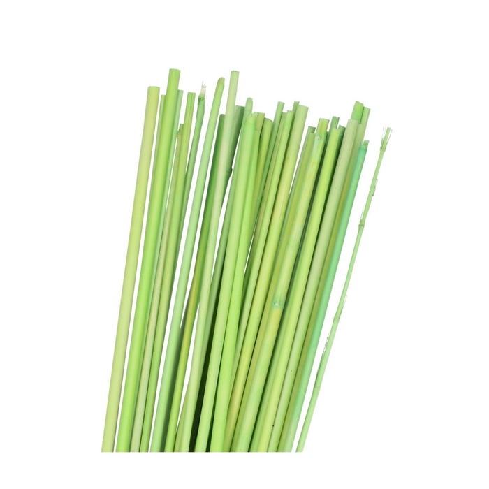 <h4>Dried articles Bamboostick 100cm x20</h4>