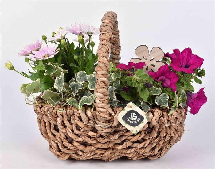 <h4>Touw hengselmand ovaal 27x22 cm</h4>