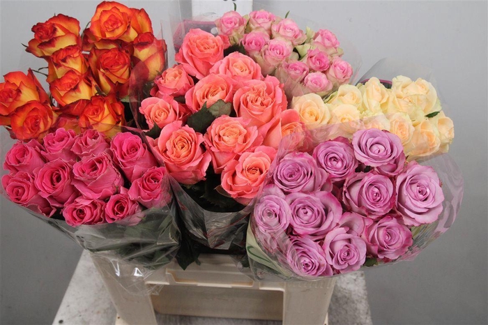 R Gr Gemengd In Fust B1