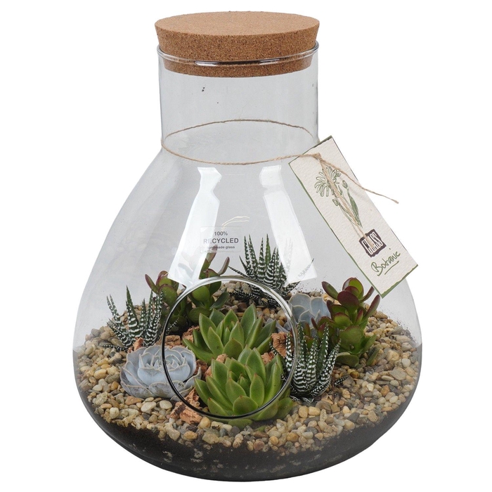 <h4>PTGIG2157 Arrangement Greens in glass in glazen terrarium</h4>
