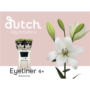 Li La Eyeliner 4+