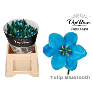 TU EN A BLUETOOTH XXL