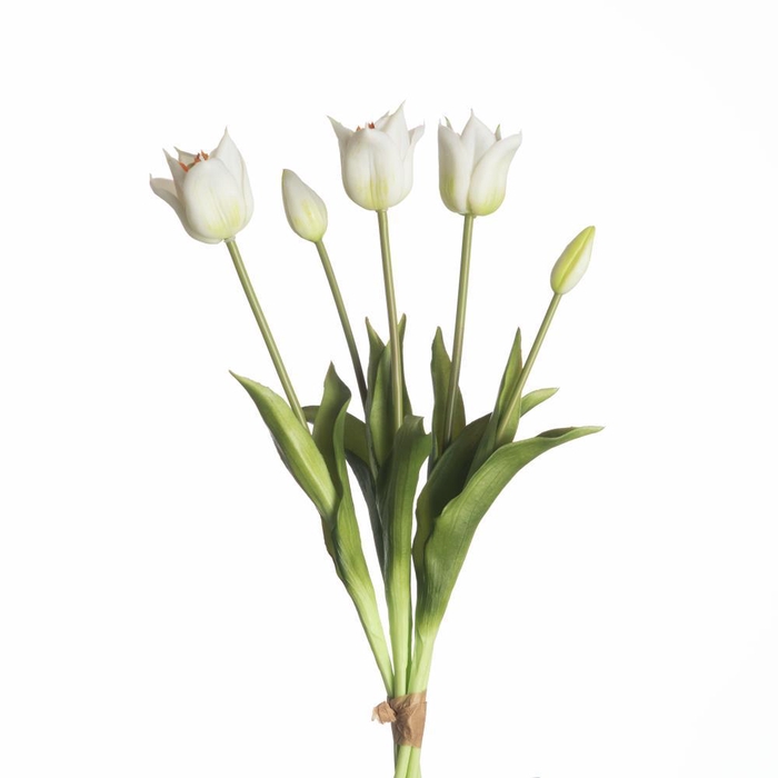<h4>AF Tulip Bundle x5 L45cm White</h4>